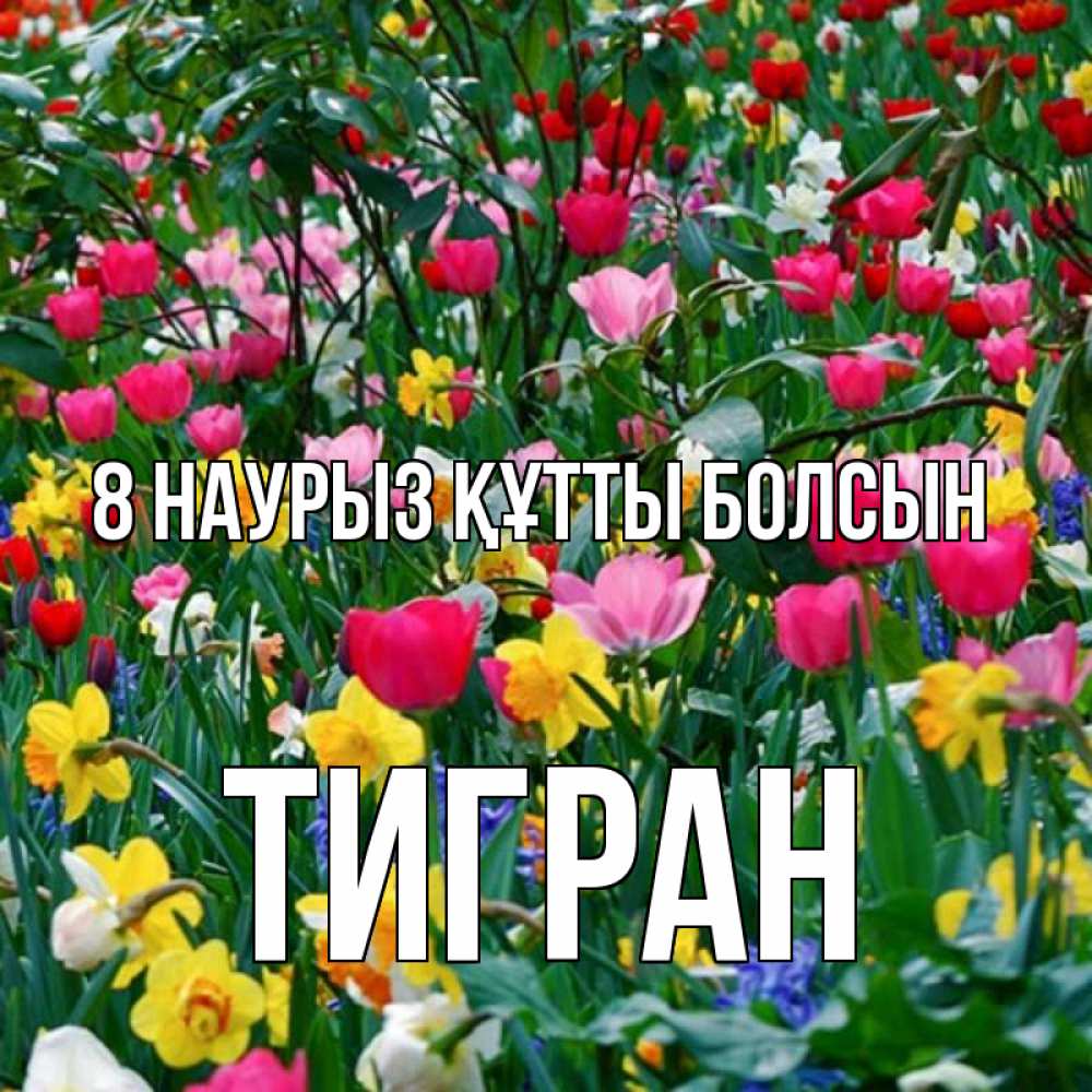 Күн сайын ашық хат с именем, Тигран 8 наурыз құтты болсын с международным женским днем поздравления для женщины Онлайн тегін жүктеп алу тілектері бар керемет карта 