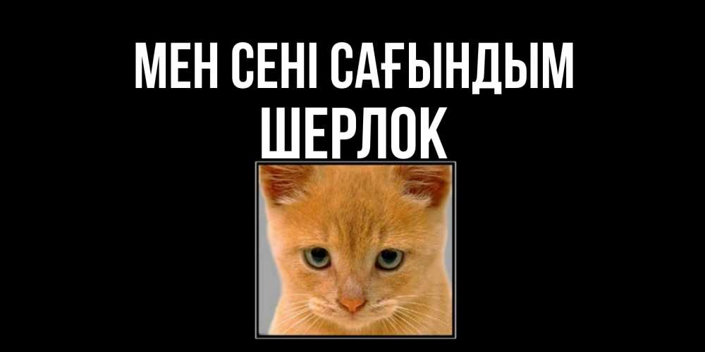 Күн сайын ашық хат с именем, Шерлок Мен сені сағындым открытки рыжий котенок скучает по тебе Онлайн тегін жүктеп алу тілектері бар керемет карта 