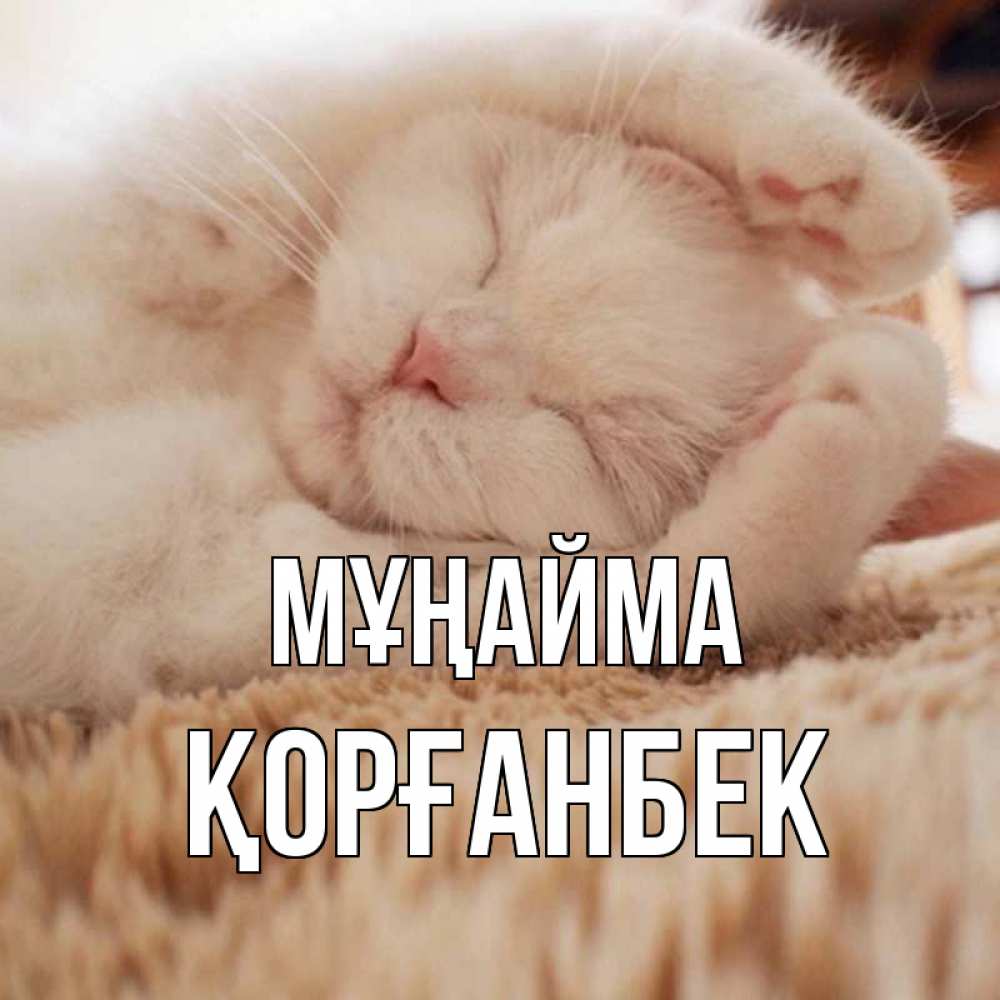 Күн сайын ашық хат с именем, Қорғанбек Мұңайма белый кот Онлайн тегін жүктеп алу тілектері бар керемет карта 