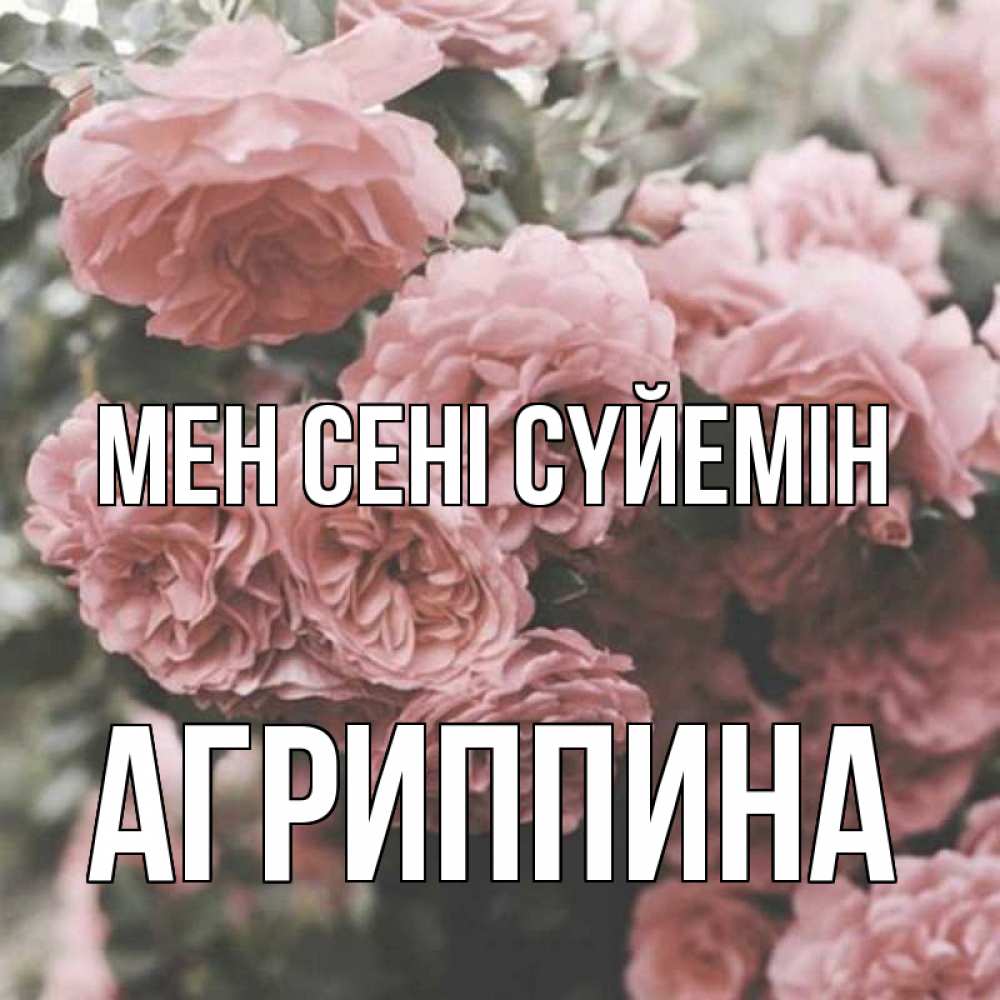 Күн сайын ашық хат с именем, Агриппина Мен сені сүйемін розы 3 Онлайн тегін жүктеп алу тілектері бар керемет карта 