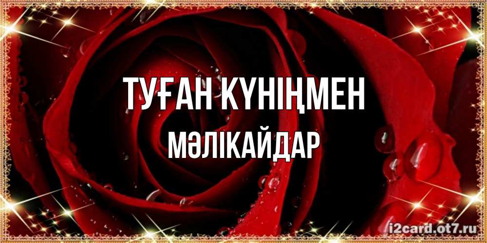 Күн сайын ашық хат с именем, МӘЛІКАЙДАР Туған күніңмен цветок в росе на день рождения Онлайн тегін жүктеп алу тілектері бар керемет карта 