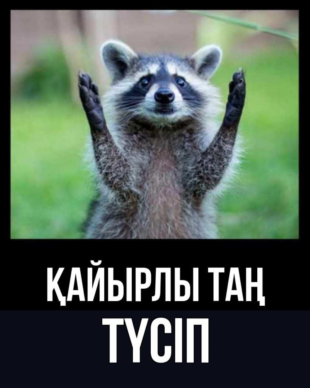 Күн сайын ашық хат с именем, ТҮСІП Қайырлы таң хорошее настроение утречком Онлайн тегін жүктеп алу тілектері бар керемет карта 
