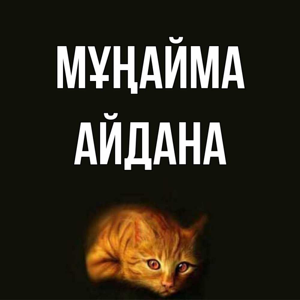 Күн сайын ашық хат с именем, АЙДАНА Мұңайма лежащий кот в темноте Онлайн тегін жүктеп алу тілектері бар керемет карта 