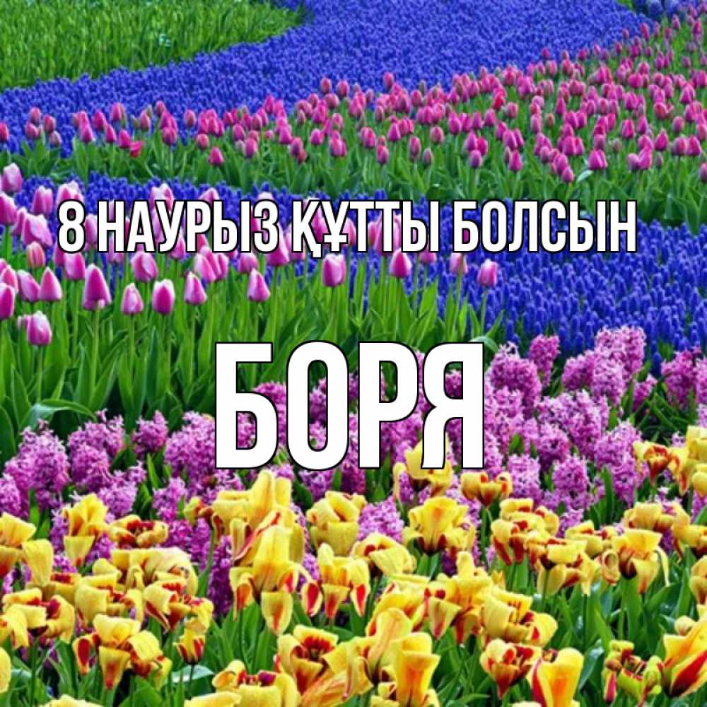 Күн сайын ашық хат с именем, Боря 8 наурыз құтты болсын цветы Онлайн тегін жүктеп алу тілектері бар керемет карта 
