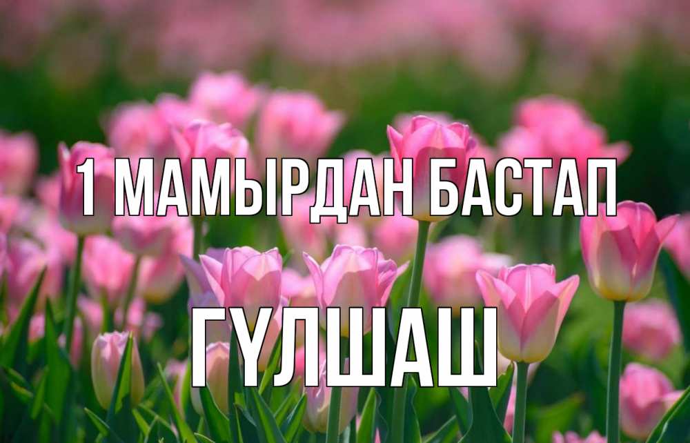 Күн сайын ашық хат с именем, ГҮЛШАШ 1 мамырдан бастап С 1 мая Онлайн тегін жүктеп алу тілектері бар керемет карта 