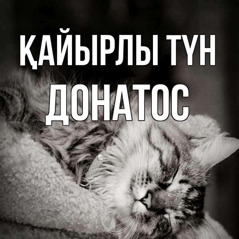 Күн сайын ашық хат с именем, Донатос Қайырлы түн котярик пушистый Онлайн тегін жүктеп алу тілектері бар керемет карта 