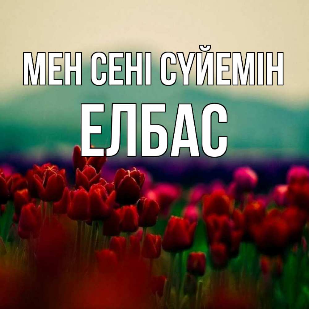 Күн сайын ашық хат с именем, Елбас Мен сені сүйемін тюльпаны 4 Онлайн тегін жүктеп алу тілектері бар керемет карта 