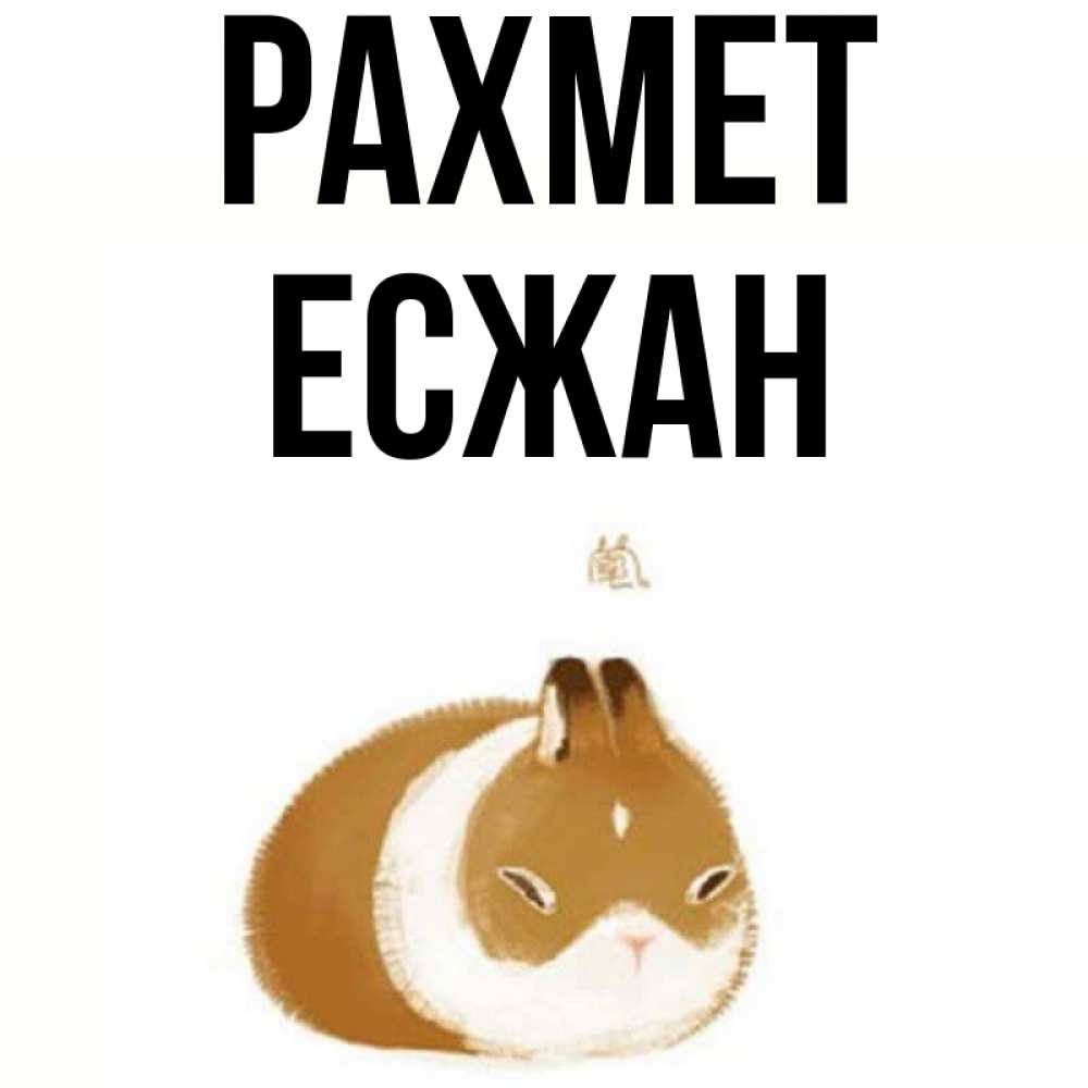 Күн сайын ашық хат с именем, Есжан рахмет коричнево белый домашний питомец Онлайн тегін жүктеп алу тілектері бар керемет карта 