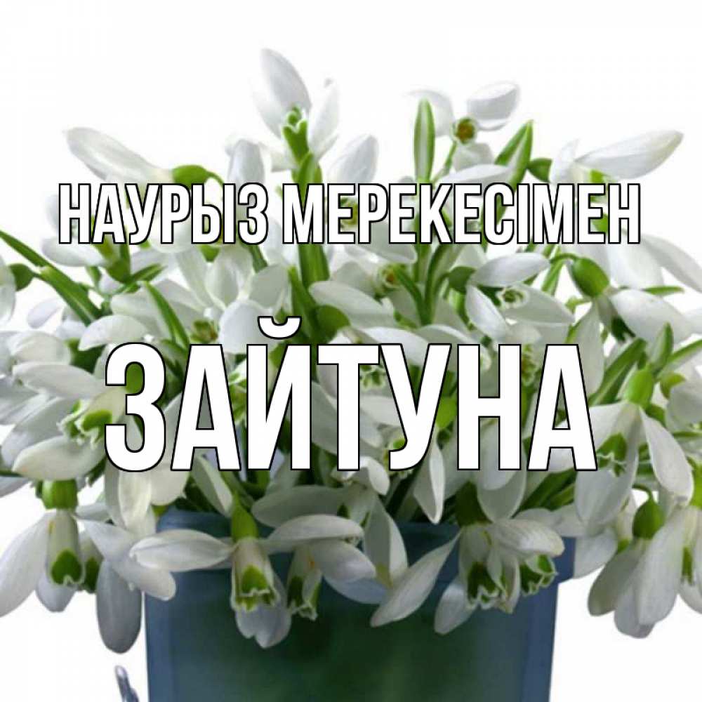Күн сайын ашық хат с именем, ЗАЙТУНА Наурыз мерекесімен цветы к наурызу новый год в Казахстане Онлайн тегін жүктеп алу тілектері бар керемет карта 