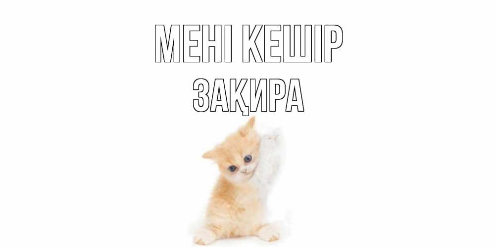 Күн сайын ашық хат с именем, ЗАҚИРА Мені кешір кот Онлайн тегін жүктеп алу тілектері бар керемет карта 