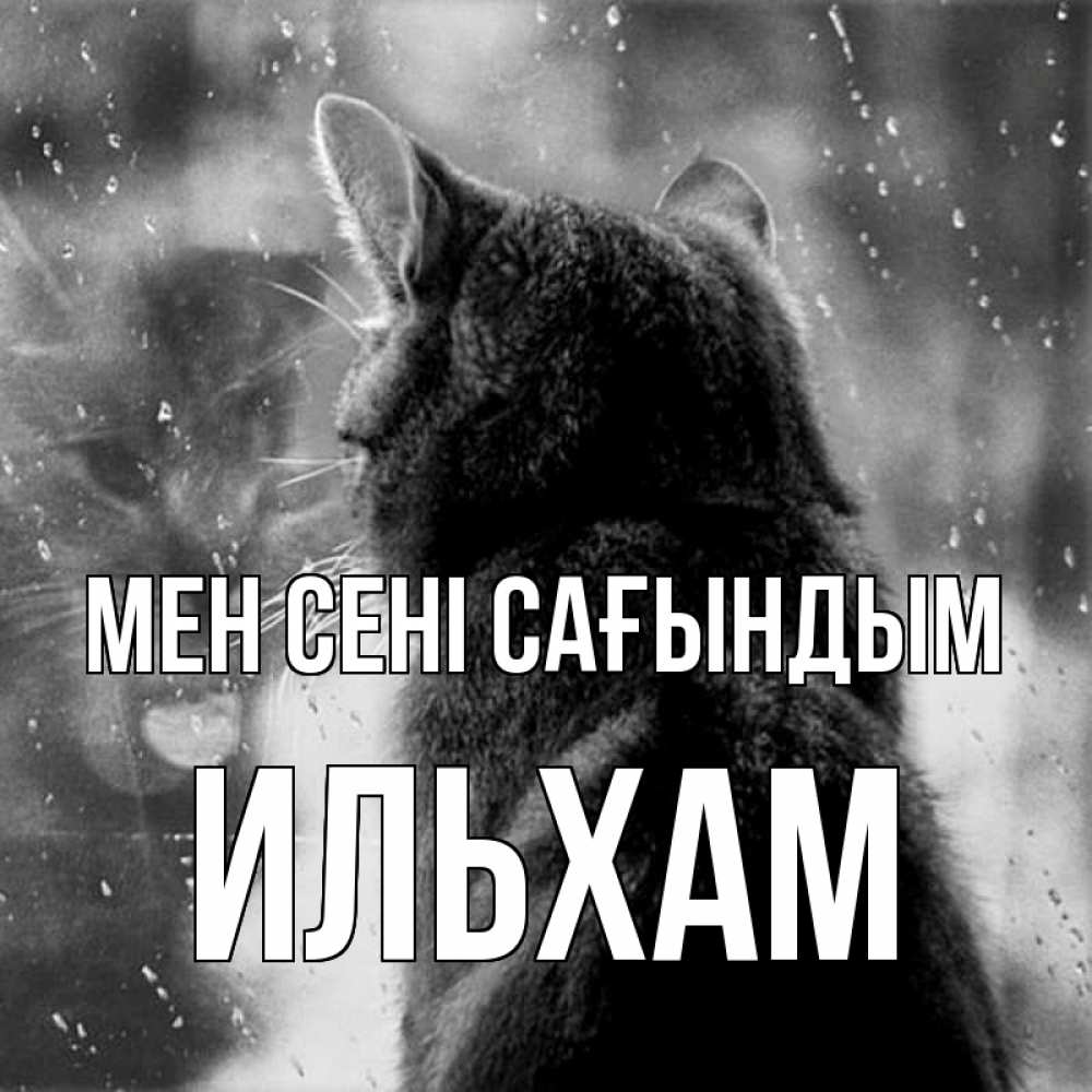 Күн сайын ашық хат с именем, Ильхам Мен сені сағындым скорее ко мне приходи 1 Онлайн тегін жүктеп алу тілектері бар керемет карта 