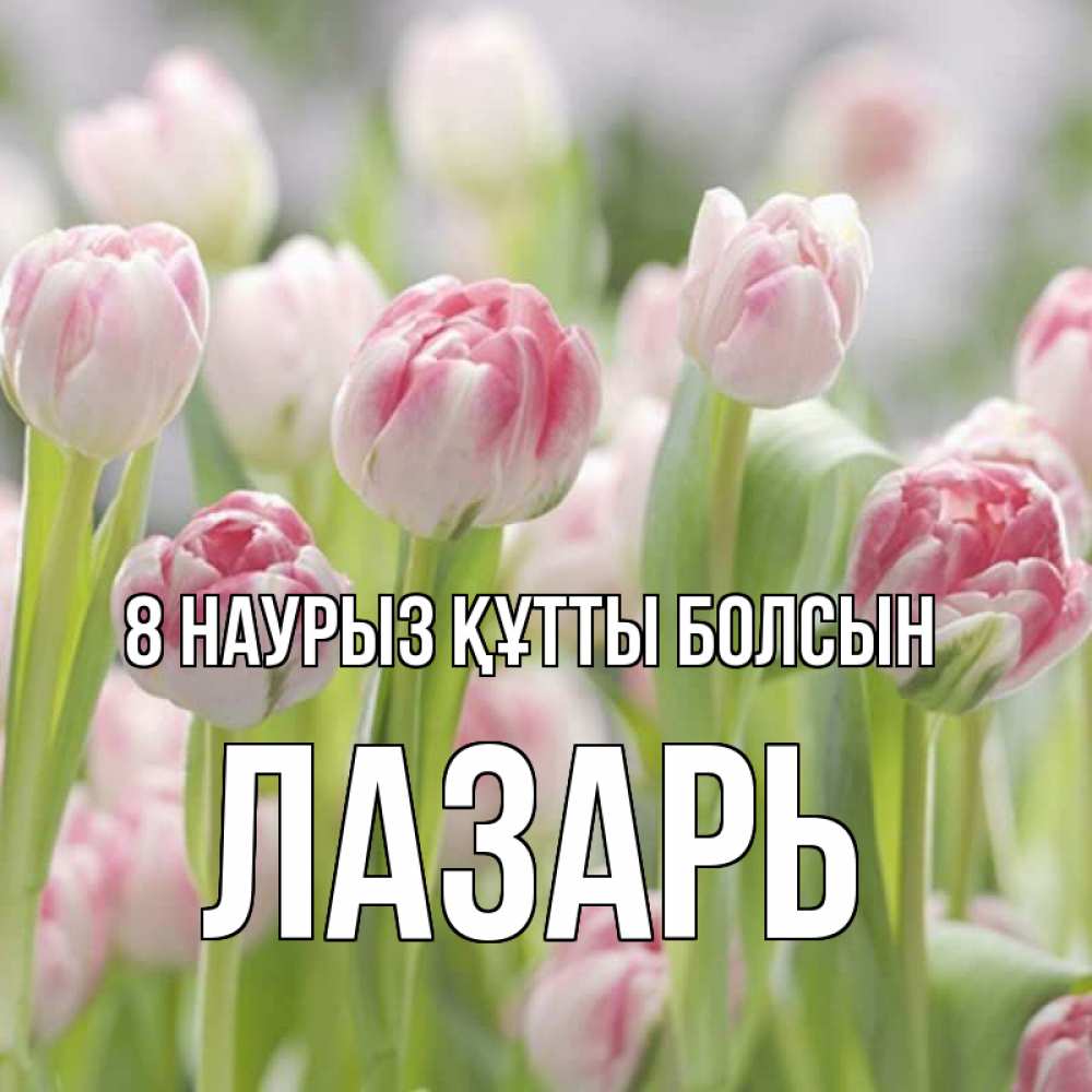 Күн сайын ашық хат с именем, Лазарь 8 наурыз құтты болсын цветы Онлайн тегін жүктеп алу тілектері бар керемет карта 