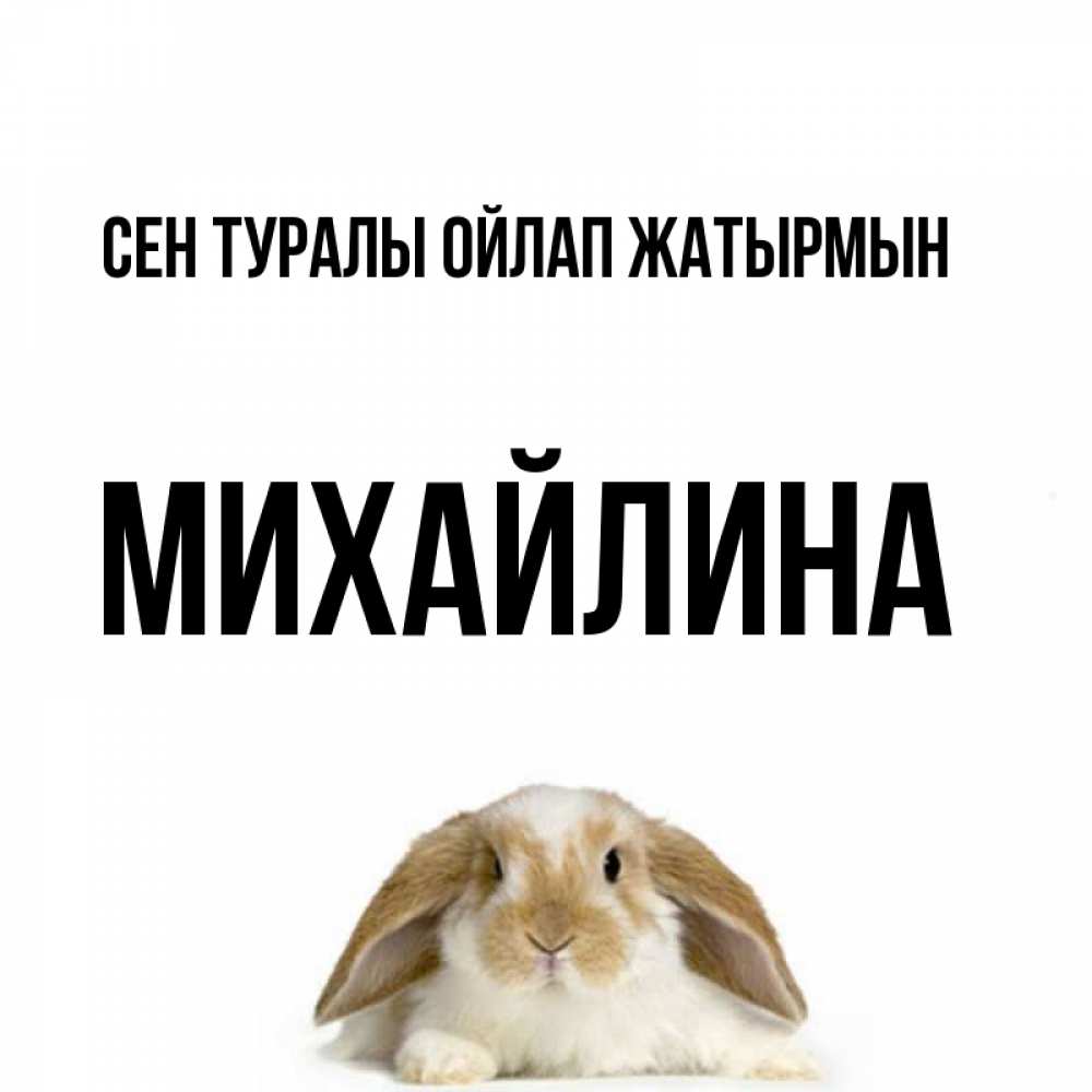 Күн сайын ашық хат с именем, Михайлина Сен туралы ойлап жатырмын подписать своими руками онлайн Онлайн тегін жүктеп алу тілектері бар керемет карта 