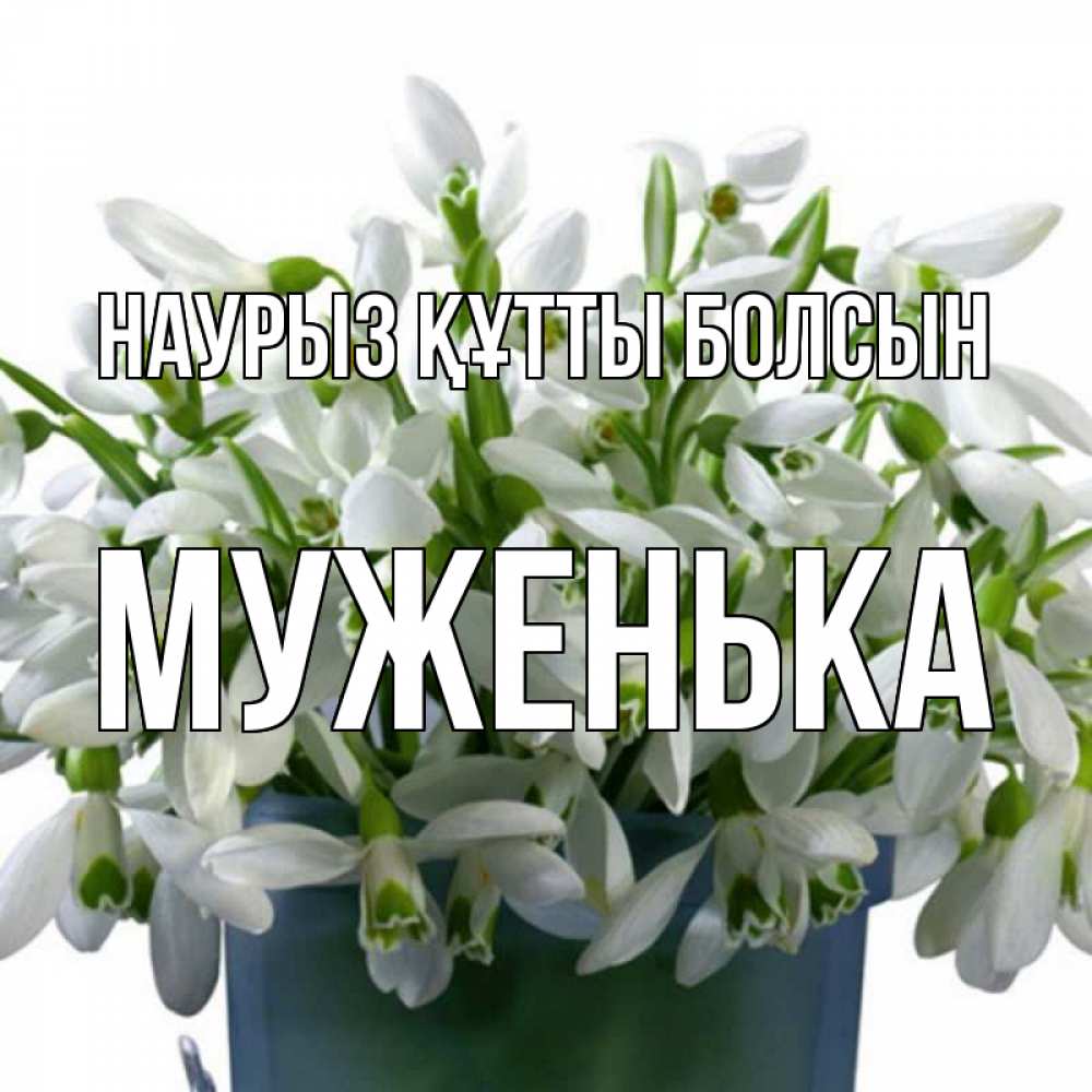 Күн сайын ашық хат с именем, Муженька Наурыз құтты болсын цветы к наурызу Онлайн тегін жүктеп алу тілектері бар керемет карта 