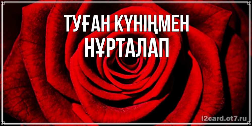 Күн сайын ашық хат с именем, НҰРТАЛАП Туған күніңмен алая роза Онлайн тегін жүктеп алу тілектері бар керемет карта 