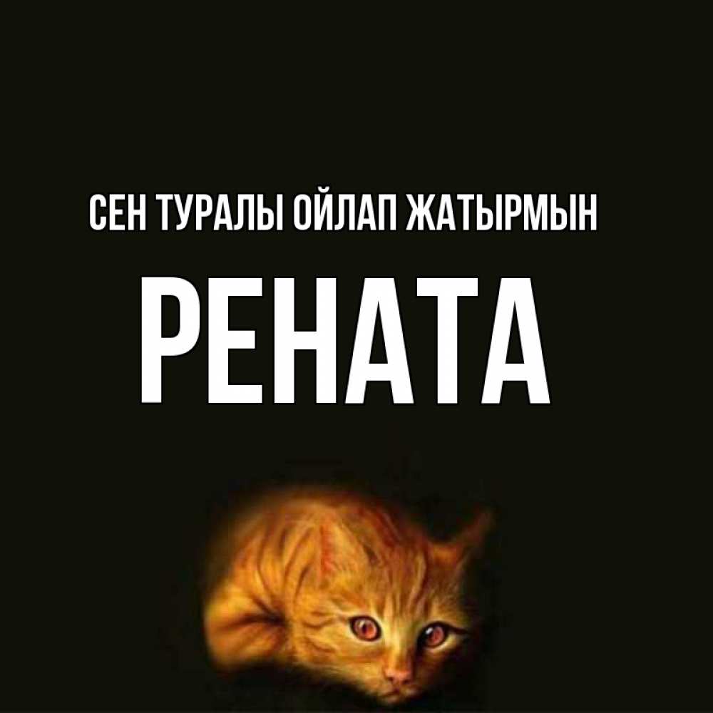 Күн сайын ашық хат с именем, Рената Сен туралы ойлап жатырмын рыжий Онлайн тегін жүктеп алу тілектері бар керемет карта 