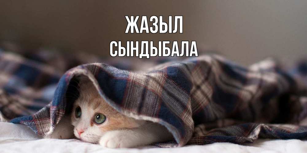 Күн сайын ашық хат с именем, СЫНДЫБАЛА Жазыл не болейте с котиком Онлайн тегін жүктеп алу тілектері бар керемет карта 