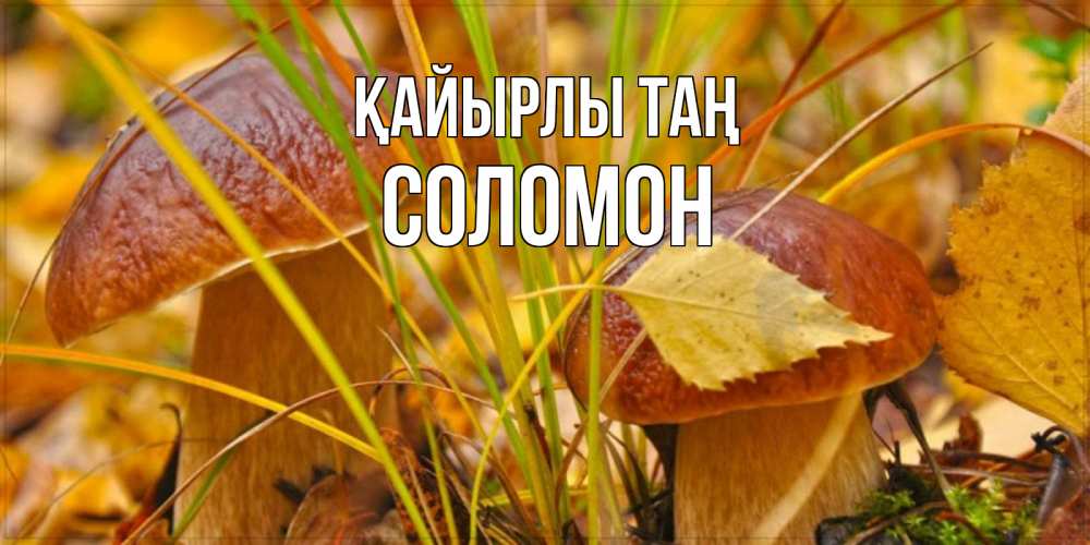 Күн сайын ашық хат с именем, Соломон Қайырлы таң осенние грибы Онлайн тегін жүктеп алу тілектері бар керемет карта 