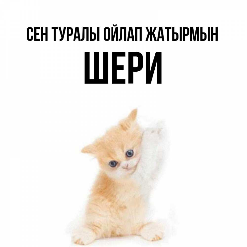 Күн сайын ашық хат с именем, ШЕРИ Сен туралы ойлап жатырмын зверушки и милота Онлайн тегін жүктеп алу тілектері бар керемет карта 