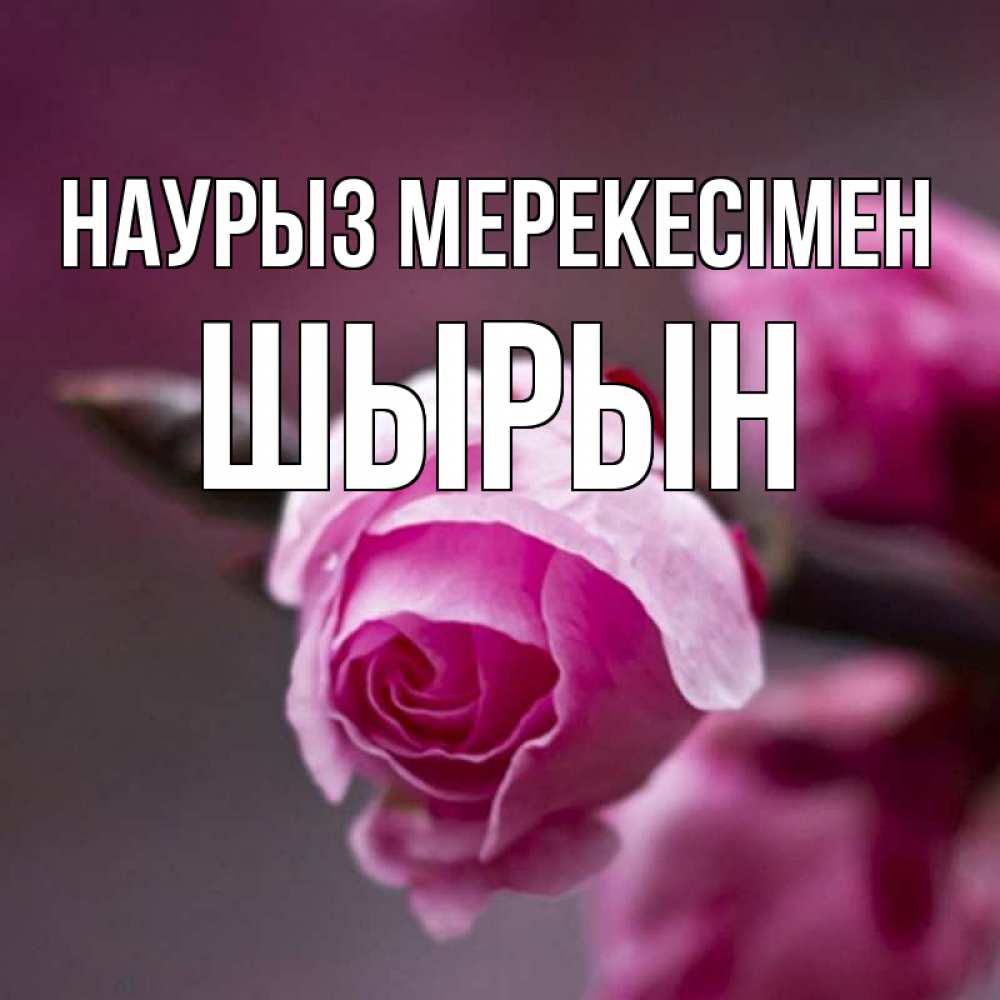 Күн сайын ашық хат с именем, ШЫРЫН Наурыз мерекесімен весна Онлайн тегін жүктеп алу тілектері бар керемет карта 