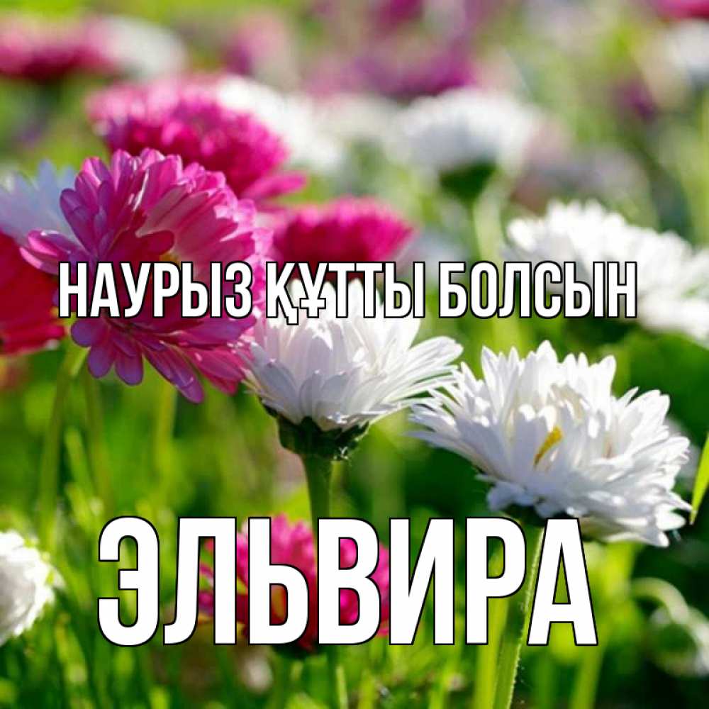 Күн сайын ашық хат с именем, Эльвира Наурыз құтты болсын наурыз Онлайн тегін жүктеп алу тілектері бар керемет карта 