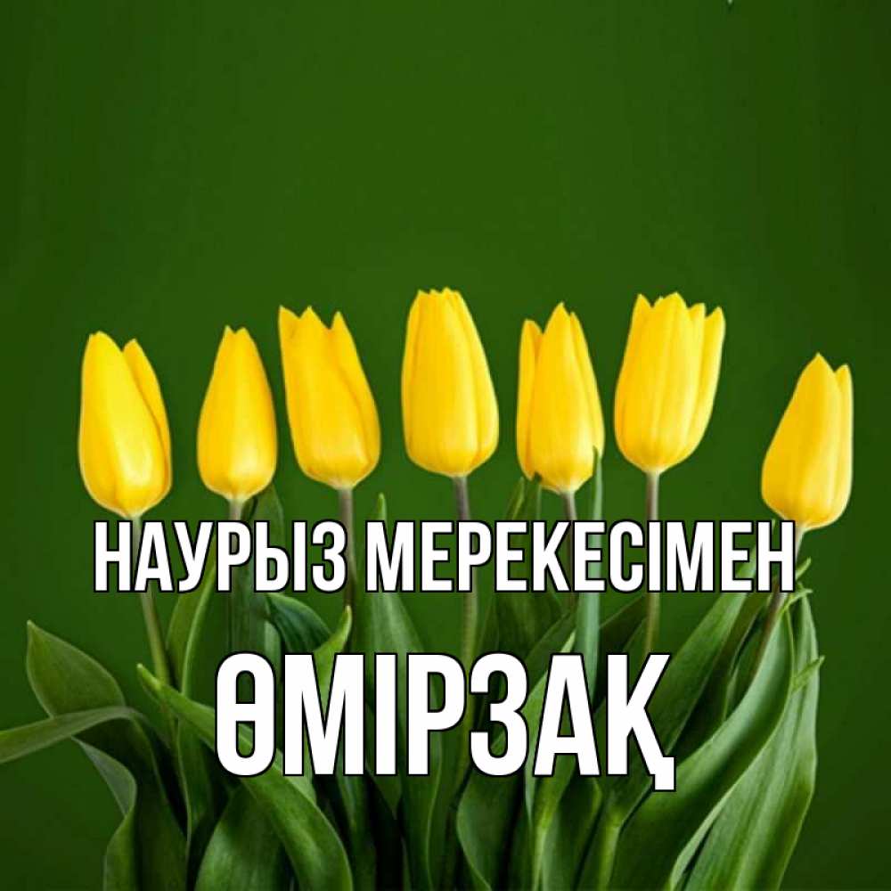 Күн сайын ашық хат с именем, ӨМІРЗАҚ Наурыз мерекесімен желтого цвета 3 Онлайн тегін жүктеп алу тілектері бар керемет карта 