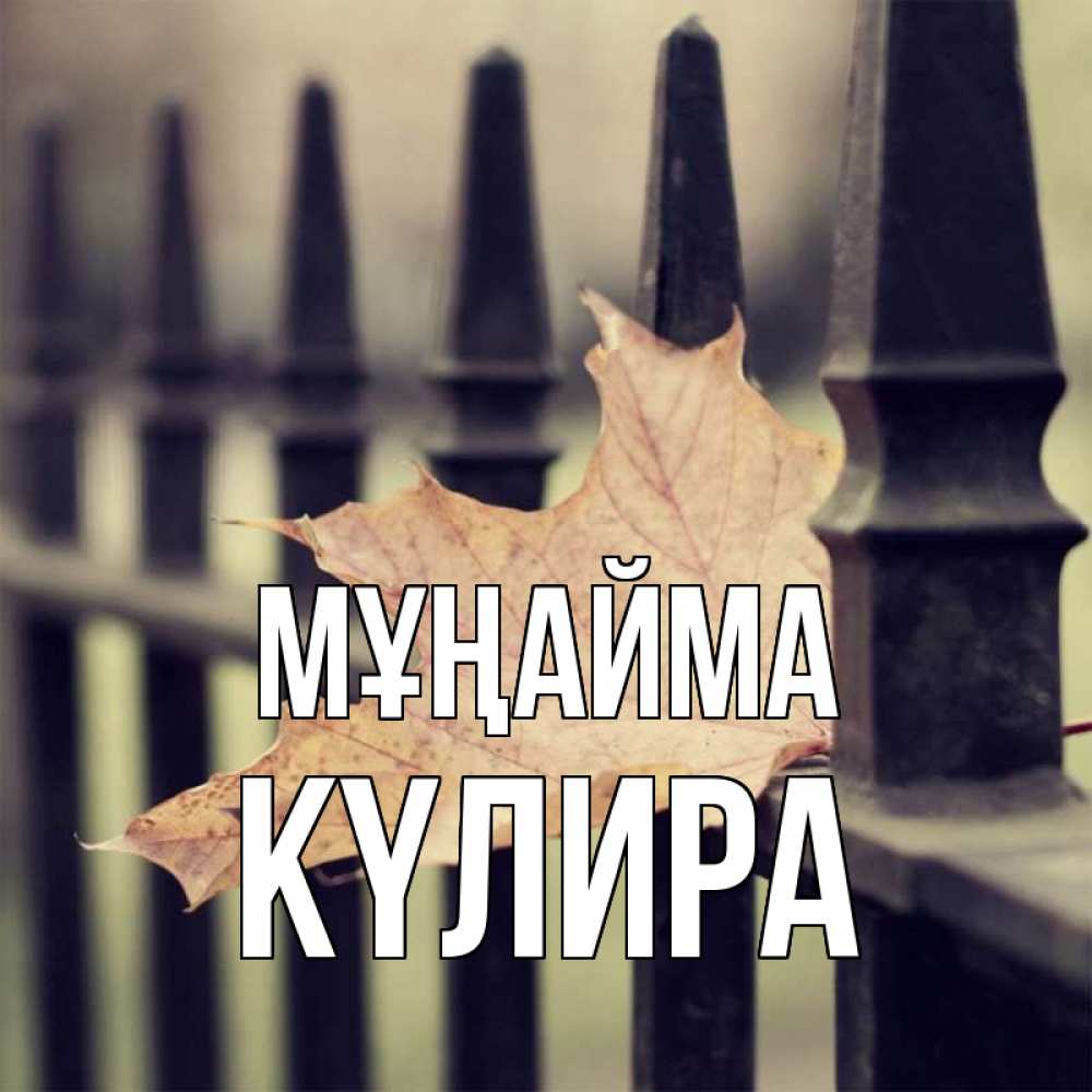 Күн сайын ашық хат с именем, КҮЛИРА Мұңайма лист клена Онлайн тегін жүктеп алу тілектері бар керемет карта 