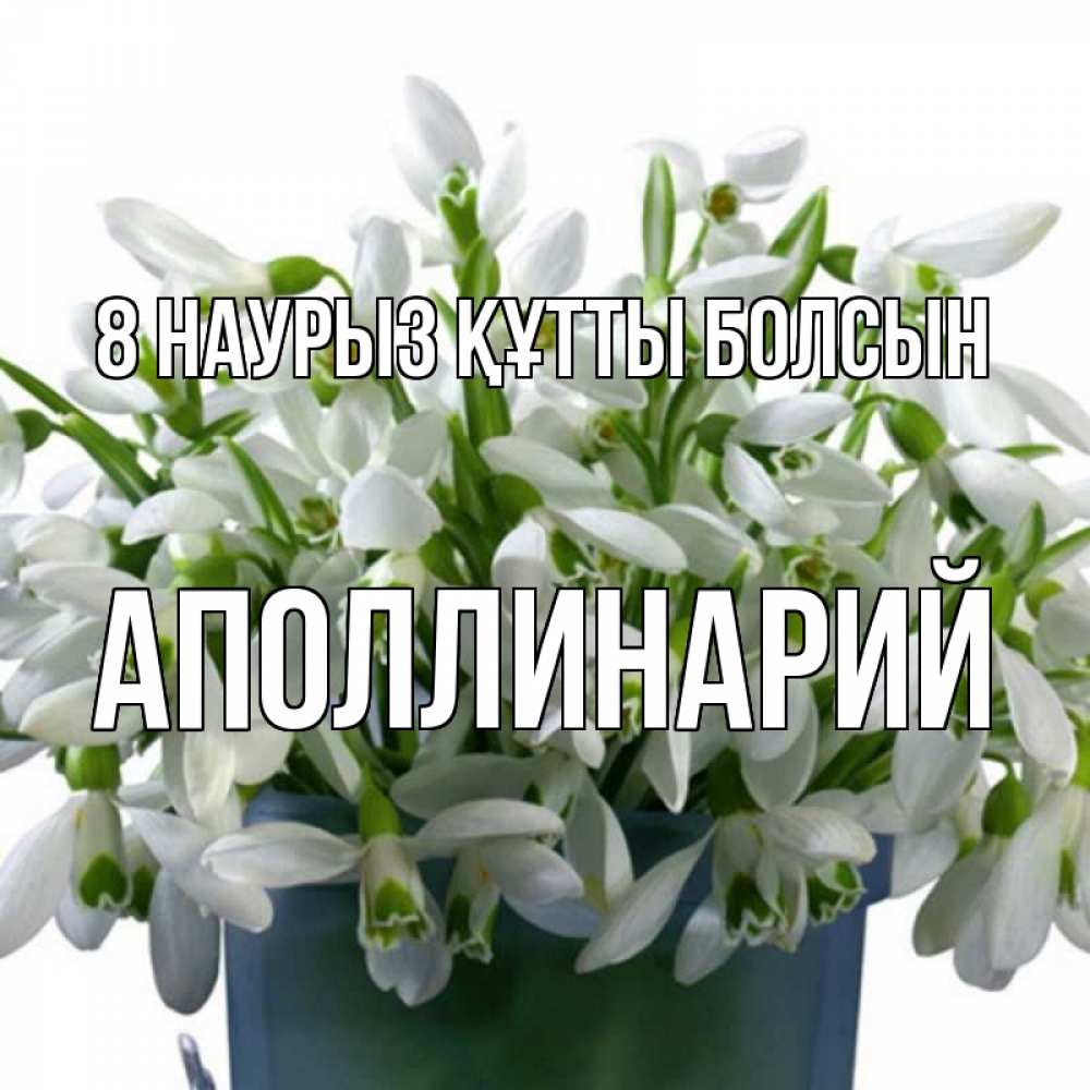 Күн сайын ашық хат с именем, Аполлинарий 8 наурыз құтты болсын цветы к международному женскому дню Онлайн тегін жүктеп алу тілектері бар керемет карта 