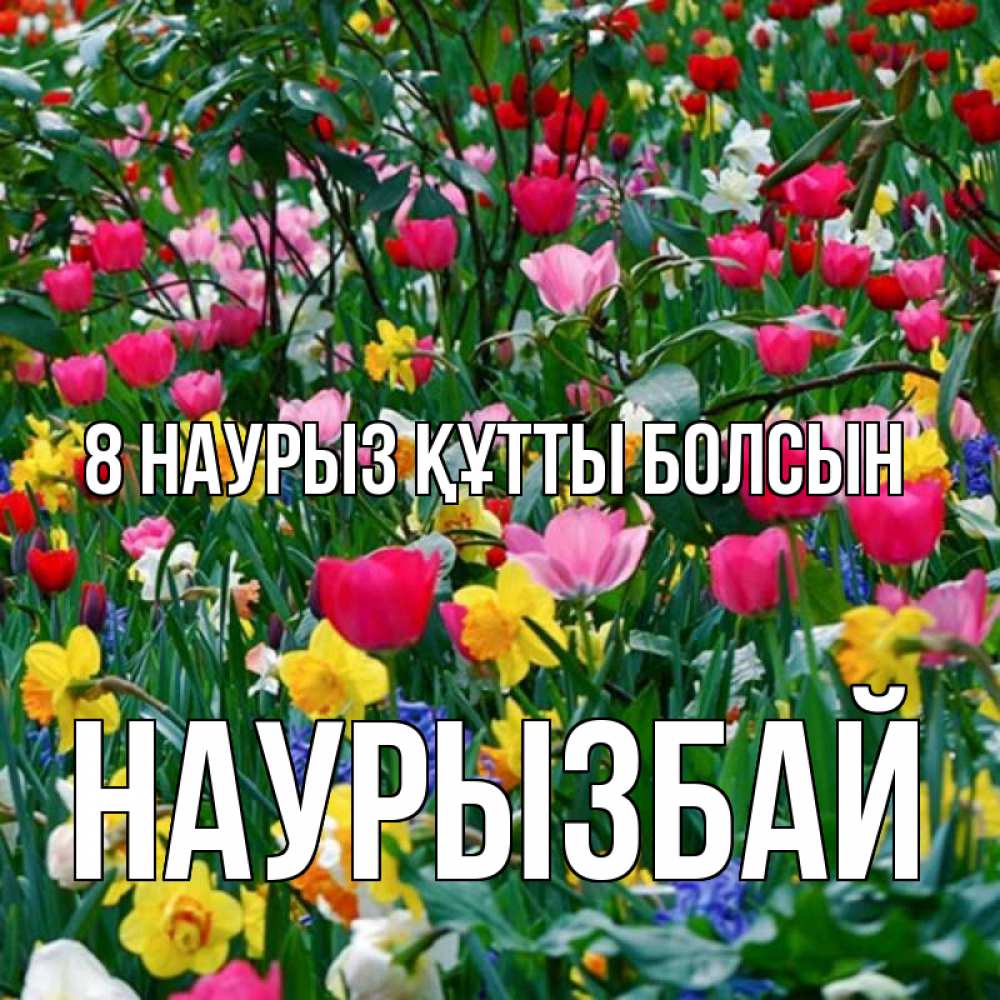 Күн сайын ашық хат с именем, Наурызбай 8 наурыз құтты болсын с международным женским днем поздравления для женщины Онлайн тегін жүктеп алу тілектері бар керемет карта 