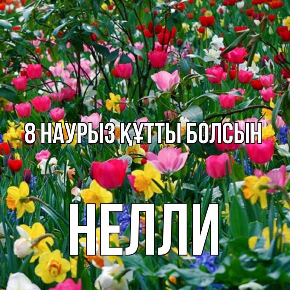 Күн сайын ашық хат с именем, Нелли 8 наурыз құтты болсын с международным женским днем поздравления для женщины Онлайн тегін жүктеп алу тілектері бар керемет карта 