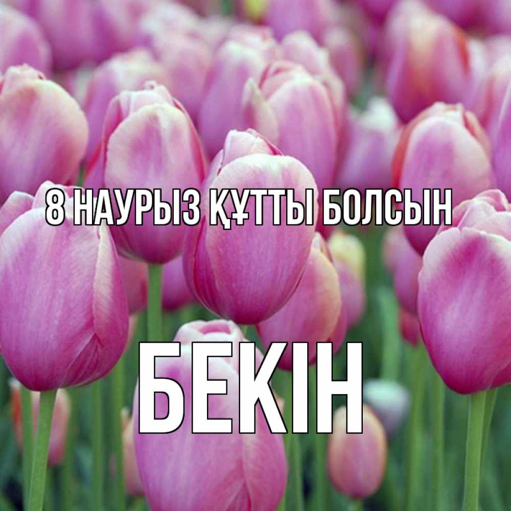 Күн сайын ашық хат с именем, Бекін 8 наурыз құтты болсын на международный женский день 3 Онлайн тегін жүктеп алу тілектері бар керемет карта 