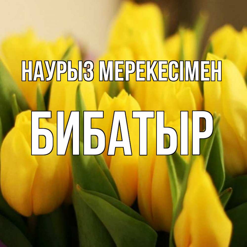 Күн сайын ашық хат с именем, Бибатыр Наурыз мерекесімен цветы Онлайн тегін жүктеп алу тілектері бар керемет карта 