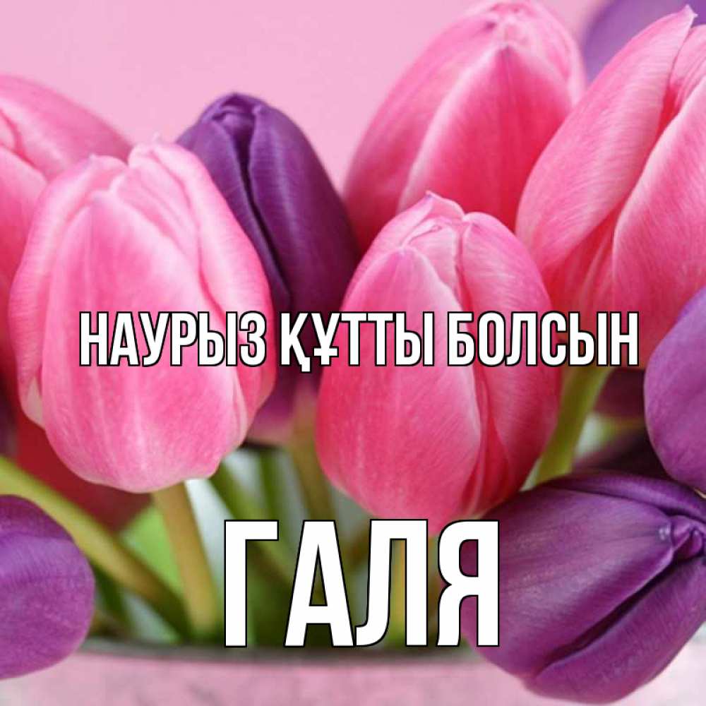 Күн сайын ашық хат с именем, Галя Наурыз құтты болсын маме 1 Онлайн тегін жүктеп алу тілектері бар керемет карта 