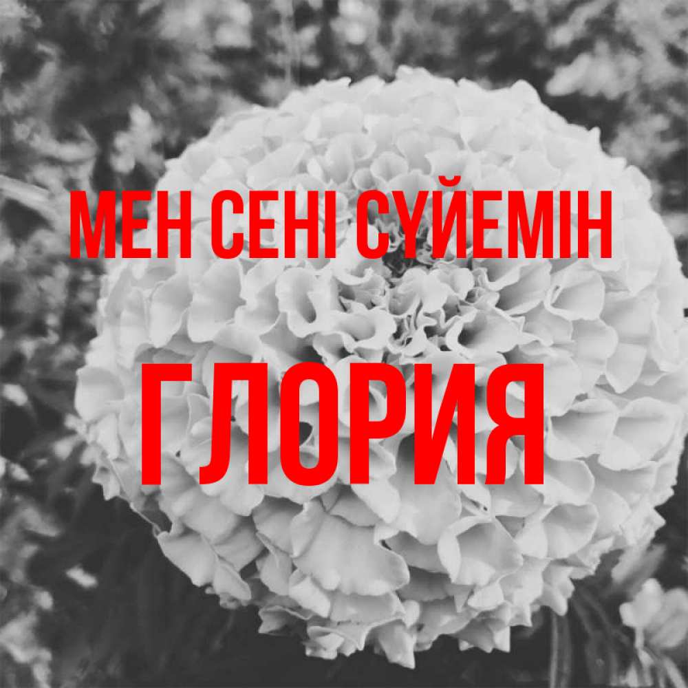 Күн сайын ашық хат с именем, Глория Мен сені сүйемін подпись Онлайн тегін жүктеп алу тілектері бар керемет карта 