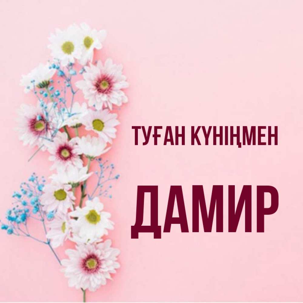 Күн сайын ашық хат с именем, Дамир Туған күніңмен Родная моя с днем рождения тебя картинка с цветами белыми и голубыми Онлайн тегін жүктеп алу тілектері бар керемет карта 