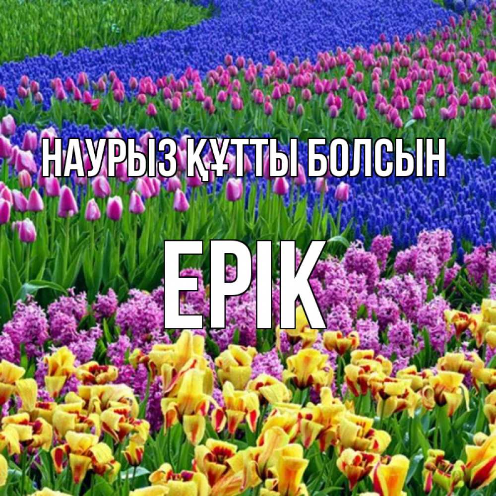Күн сайын ашық хат с именем, Ерік Наурыз құтты болсын цветы Онлайн тегін жүктеп алу тілектері бар керемет карта 