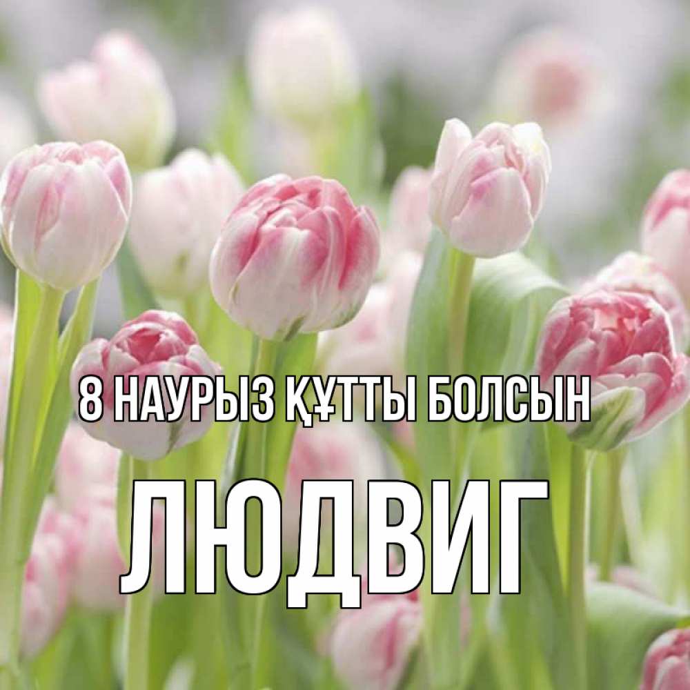 Күн сайын ашық хат с именем, Людвиг 8 наурыз құтты болсын цветы Онлайн тегін жүктеп алу тілектері бар керемет карта 