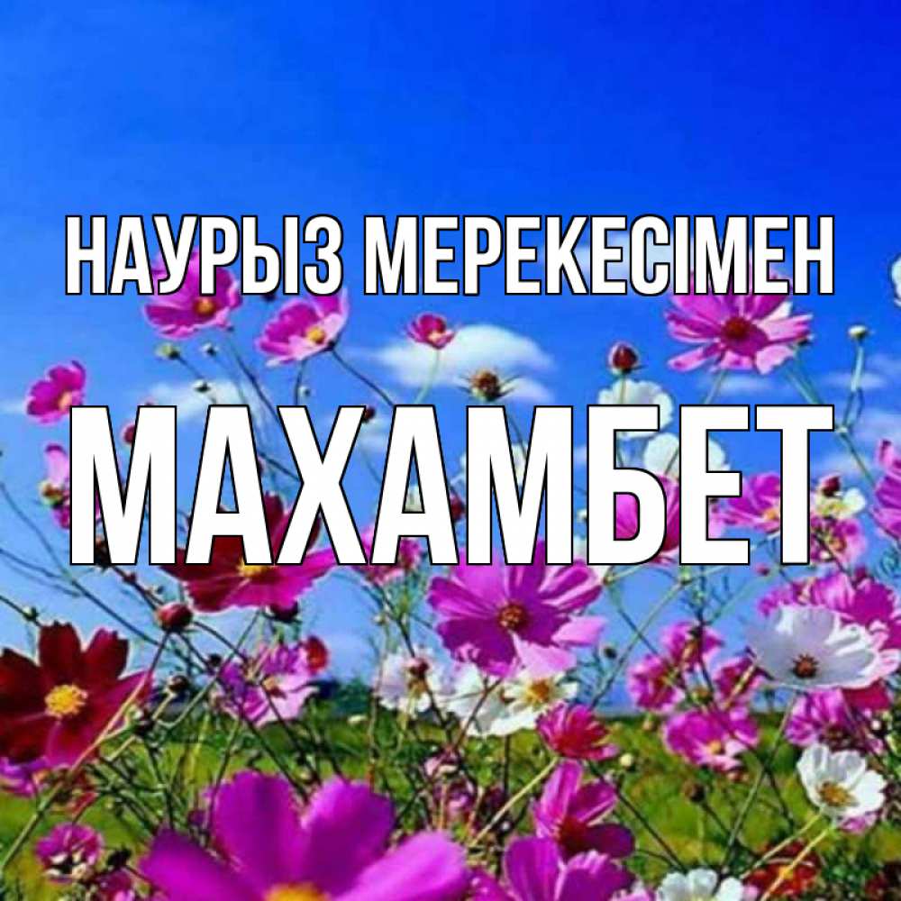 Күн сайын ашық хат с именем, МАХАМБЕТ Наурыз мерекесімен цветы Онлайн тегін жүктеп алу тілектері бар керемет карта 