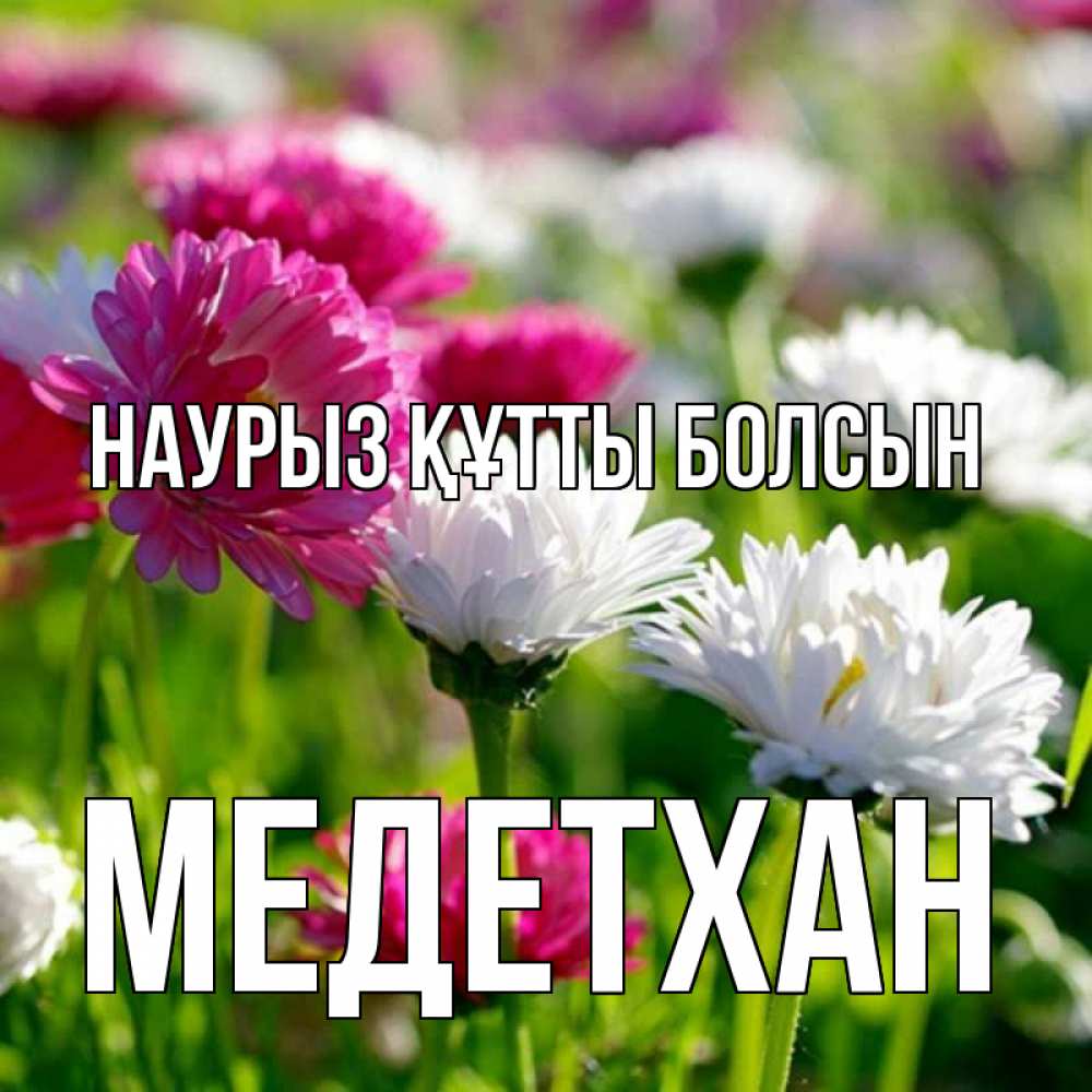 Күн сайын ашық хат с именем, МЕДЕТХАН Наурыз құтты болсын наурыз Онлайн тегін жүктеп алу тілектері бар керемет карта 