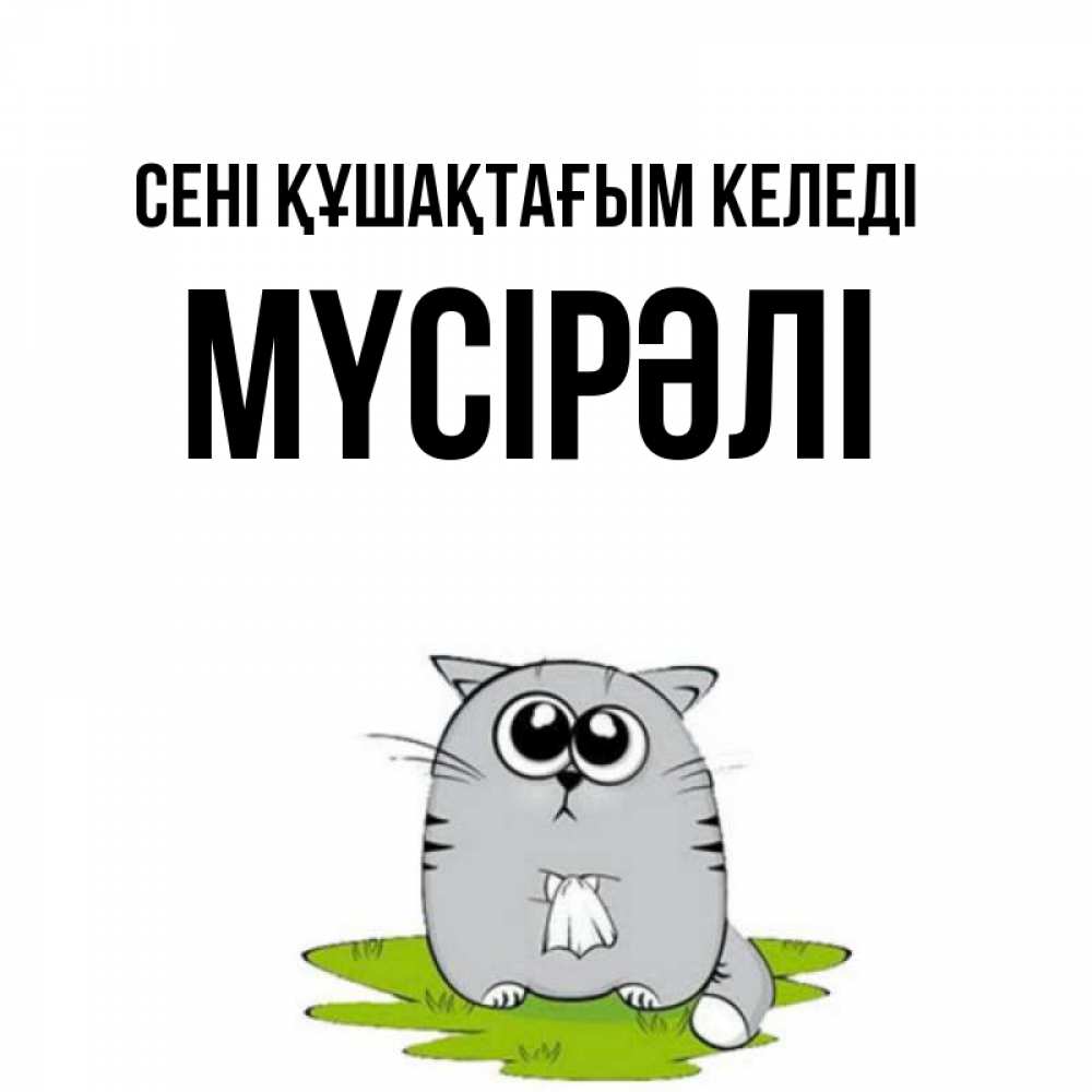 Күн сайын ашық хат с именем, МҮСІРӘЛІ сені құшақтағым келеді котик теребит платочек сидя на травке Онлайн тегін жүктеп алу тілектері бар керемет карта 