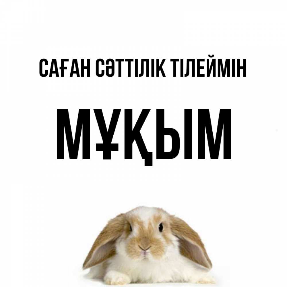 Күн сайын ашық хат с именем, МҰҚЫМ Саған сәттілік тілеймін открытки с произвольным текстом который можно вставить в открытку и создать ее самостоятельно бесплатно онлайн Онлайн тегін жүктеп алу тілектері бар керемет карта 