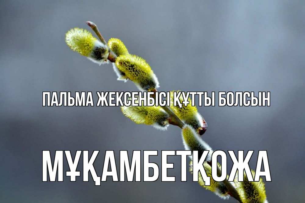Күн сайын ашық хат с именем, Мұқамбетқожа Пальма жексенбісі құтты болсын верба Онлайн тегін жүктеп алу тілектері бар керемет карта 