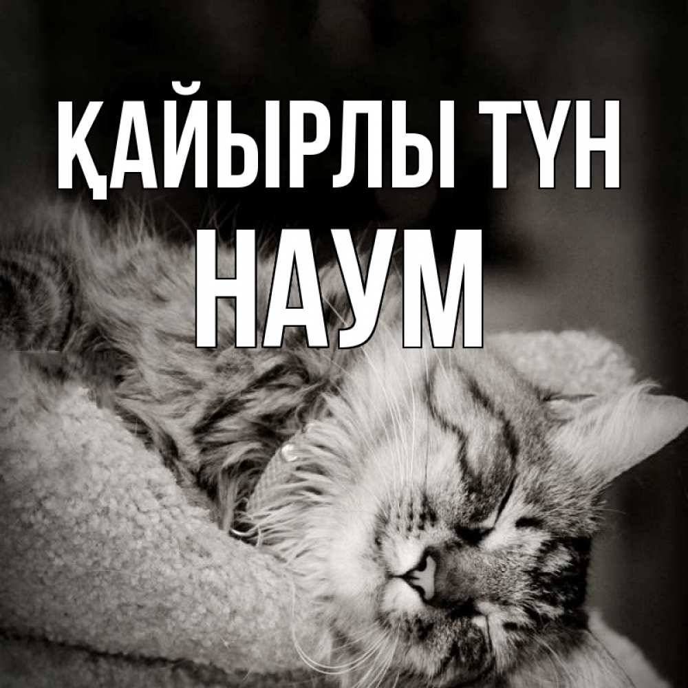 Күн сайын ашық хат с именем, Наум Қайырлы түн котярик пушистый Онлайн тегін жүктеп алу тілектері бар керемет карта 