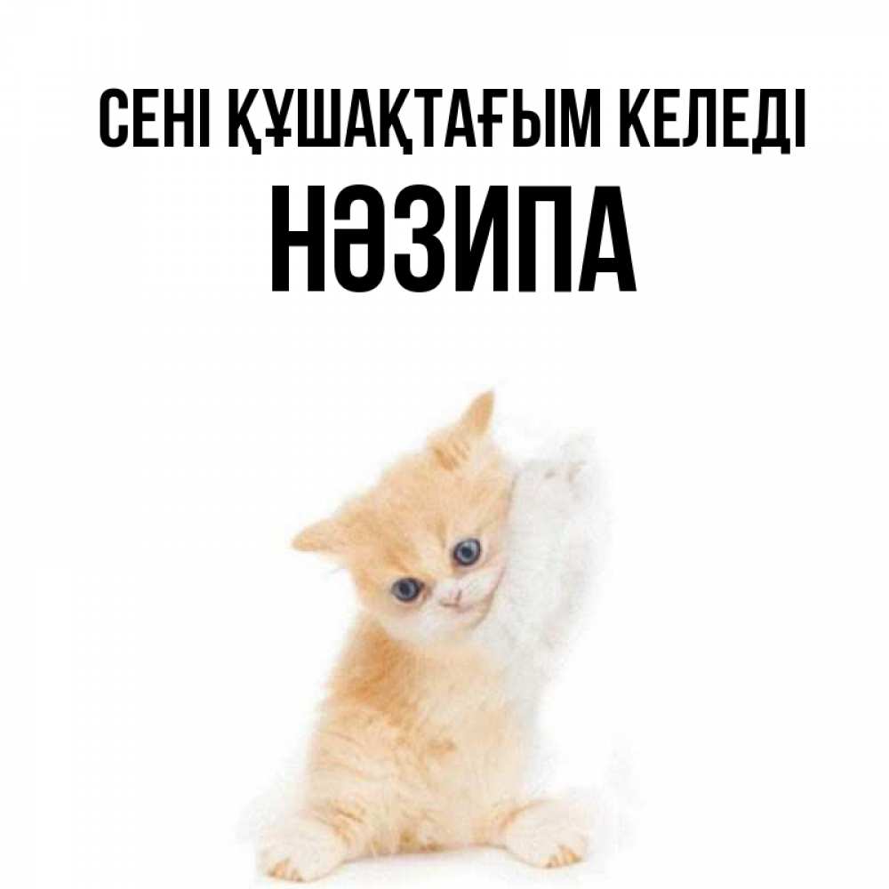 Күн сайын ашық хат с именем, НӘЗИПА сені құшақтағым келеді я хочу очень скорее обнимаешек Онлайн тегін жүктеп алу тілектері бар керемет карта 