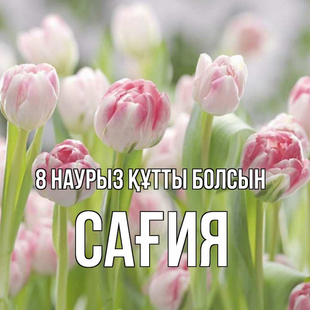 Күн сайын ашық хат с именем, САҒИЯ 8 наурыз құтты болсын цветы Онлайн тегін жүктеп алу тілектері бар керемет карта 