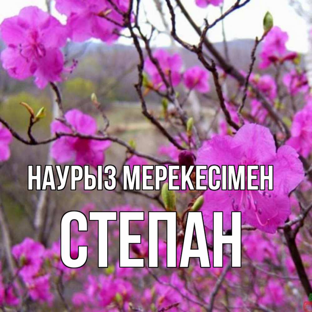 Күн сайын ашық хат с именем, Степан Наурыз мерекесімен праздник весны наурыз Онлайн тегін жүктеп алу тілектері бар керемет карта 