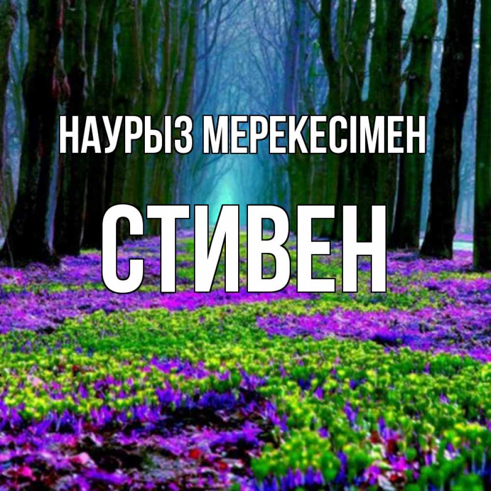 Күн сайын ашық хат с именем, Стивен Наурыз мерекесімен фиолетовые цветы в лесу 1 Онлайн тегін жүктеп алу тілектері бар керемет карта 