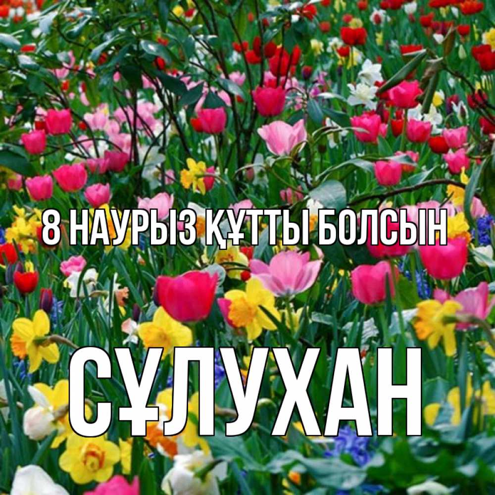 Күн сайын ашық хат с именем, СҰЛУХАН 8 наурыз құтты болсын с международным женским днем поздравления для женщины Онлайн тегін жүктеп алу тілектері бар керемет карта 