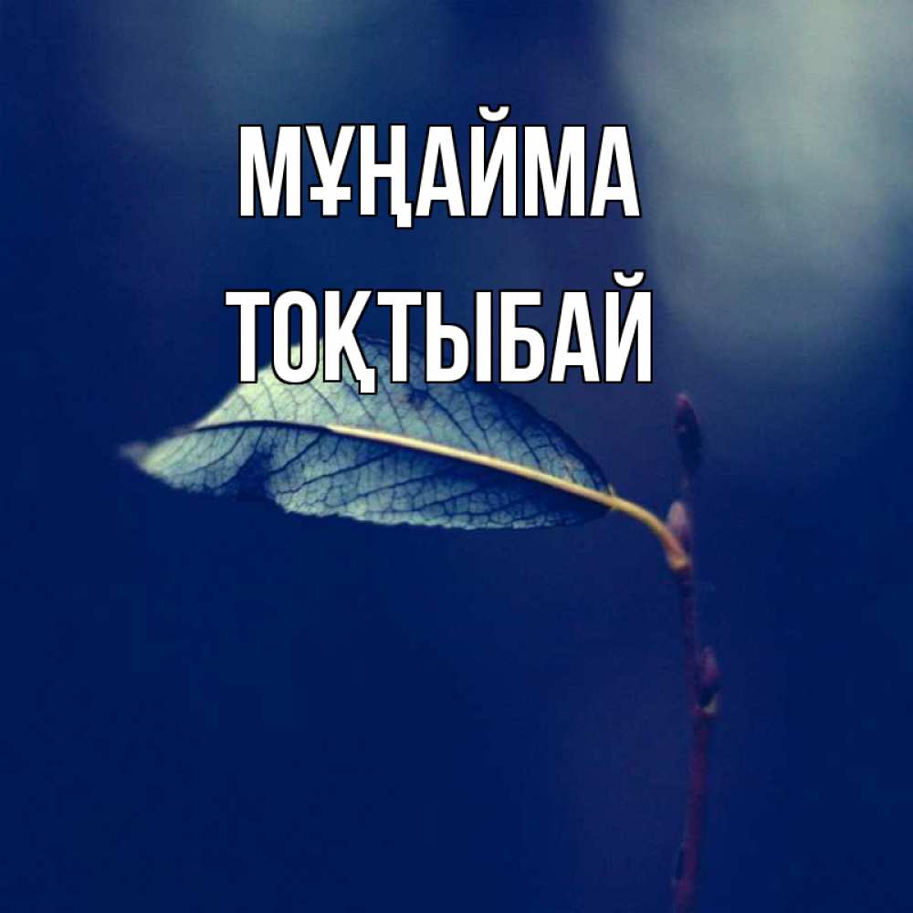 Күн сайын ашық хат с именем, ТОҚТЫБАЙ Мұңайма растение Онлайн тегін жүктеп алу тілектері бар керемет карта 