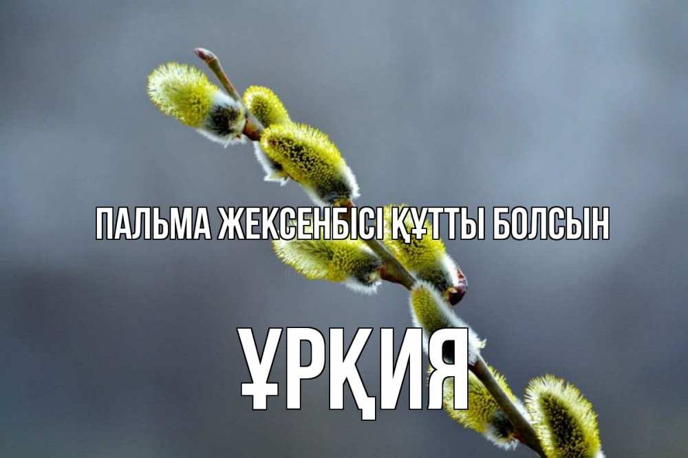 Күн сайын ашық хат с именем, ҰРҚИЯ Пальма жексенбісі құтты болсын верба Онлайн тегін жүктеп алу тілектері бар керемет карта 